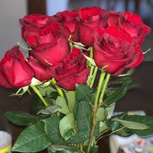 Meet your Posher, Meagan